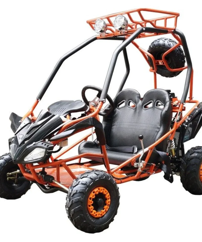 DongFang 125cc Kids Go Karts Type-GTS