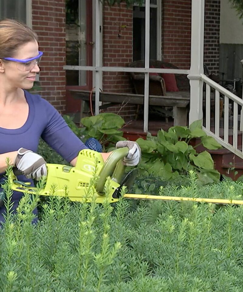 19” Electric Pole Hedge Trimmer, Portable Dual Blade Tool SJH904E, Green - Image 9