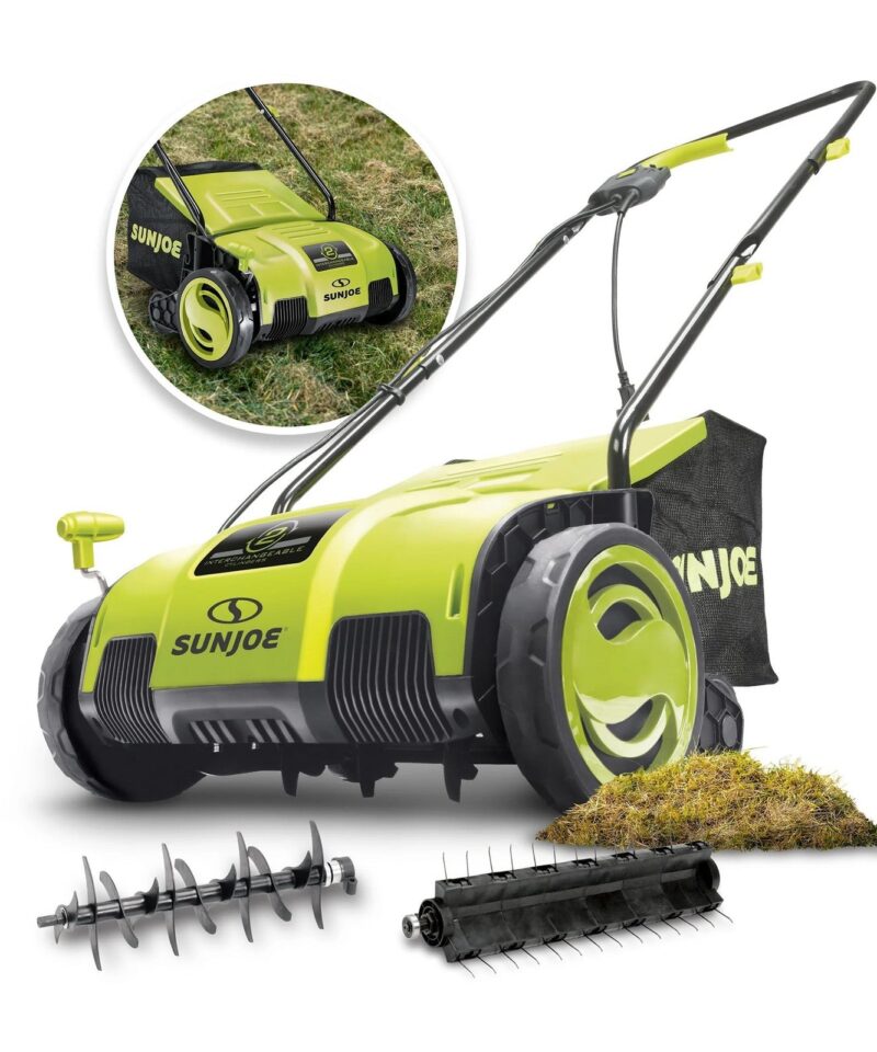 12.6-Inch Electric Lawn Dethatcher and Scarifier, 12 Amp, Green, AJ798E