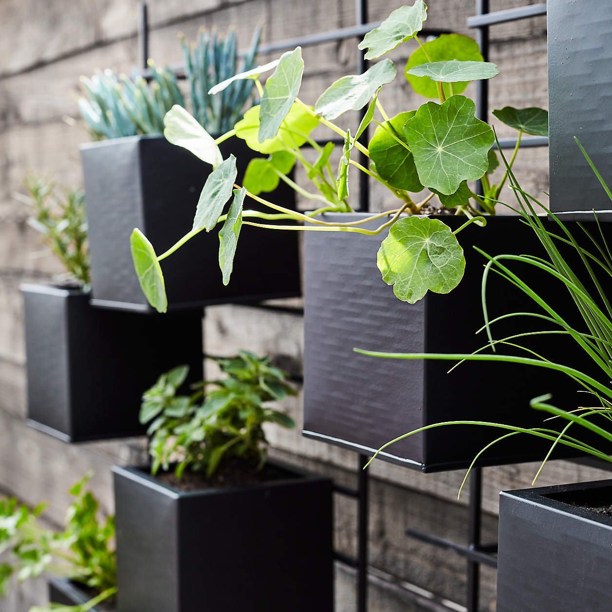 4 Box Wall Mounted Indoor/Outdoor Planter - Image 2