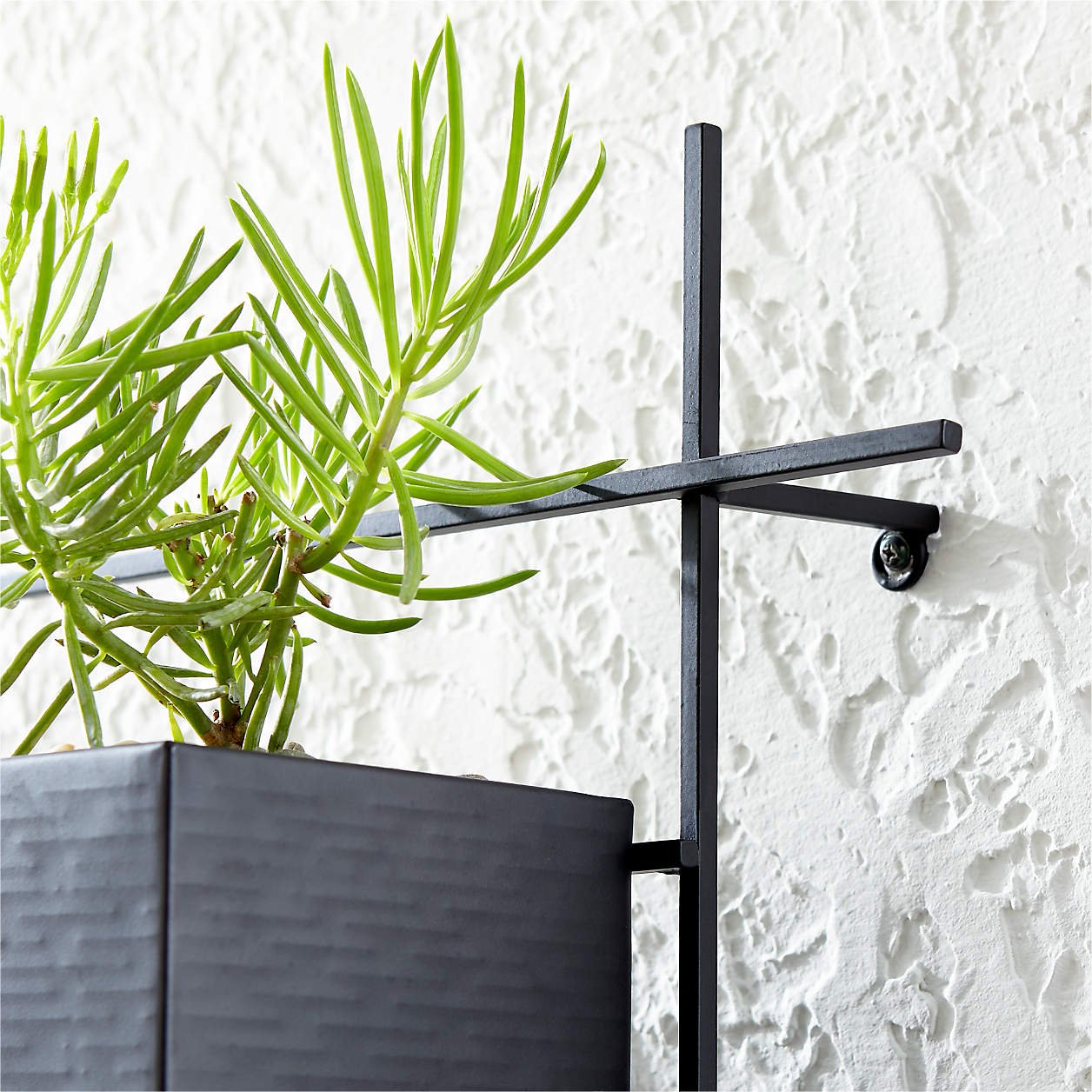 4 Box Wall Mounted Indoor/Outdoor Planter - Image 4