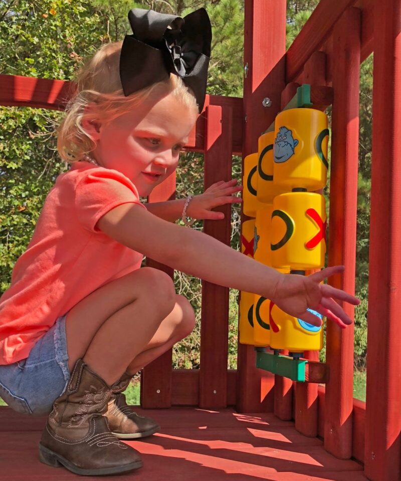 Limited Supply Five Star II Swing Set - Image 4