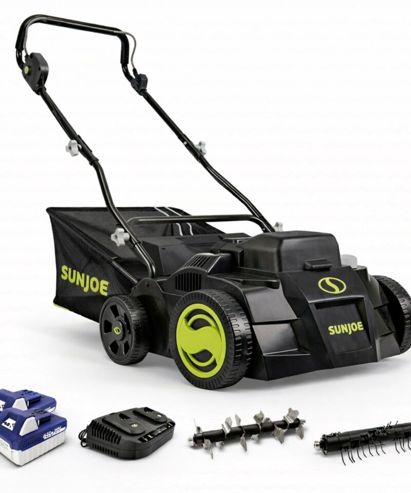 Cordless Scarifier/Dethatcher, Brushless Motor, Batteries, 24V-X2-DTS15