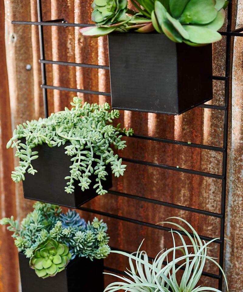 4 Box Wall Mounted Indoor/Outdoor Planter - Image 7
