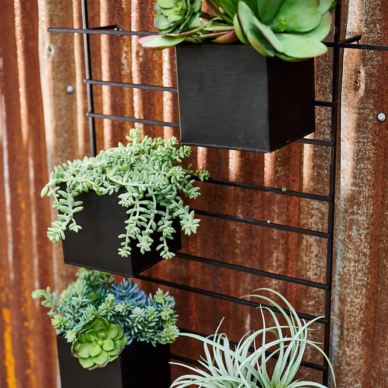 4 Box Wall Mounted Indoor/Outdoor Planter - Image 7