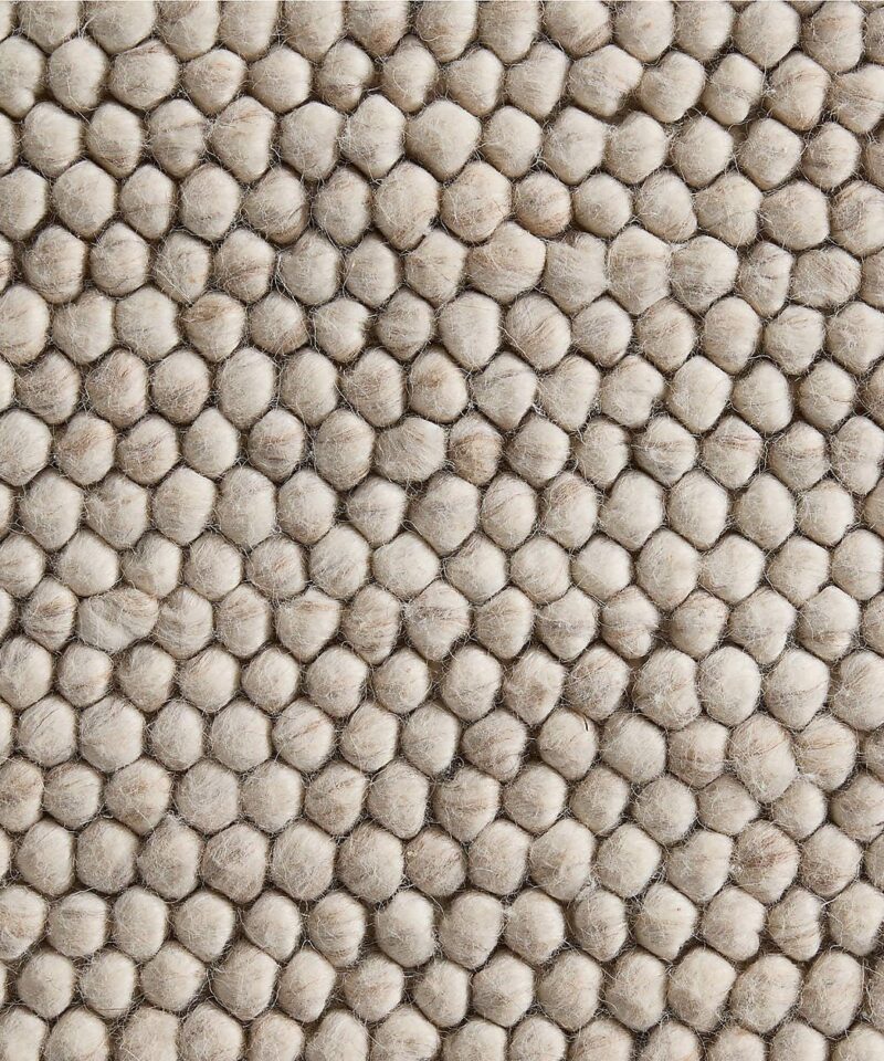 Orly Wool Blend Handwoven Ivory Area Rug 8’x10