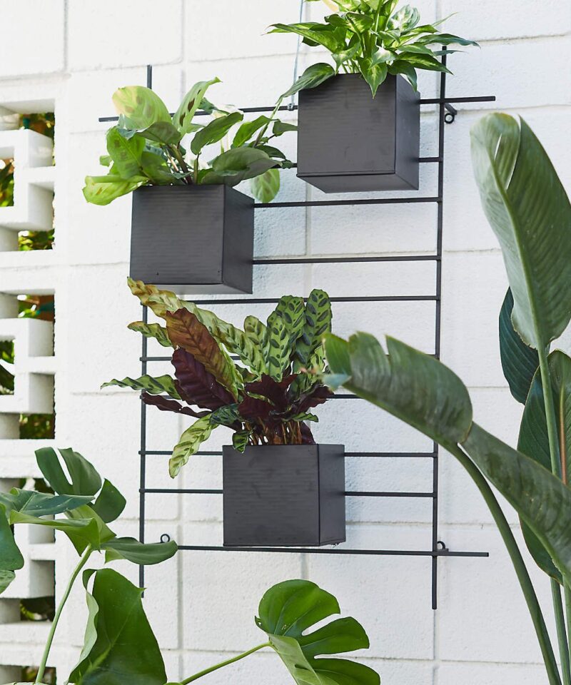 4 Box Wall Mounted Indoor/Outdoor Planter - Image 6