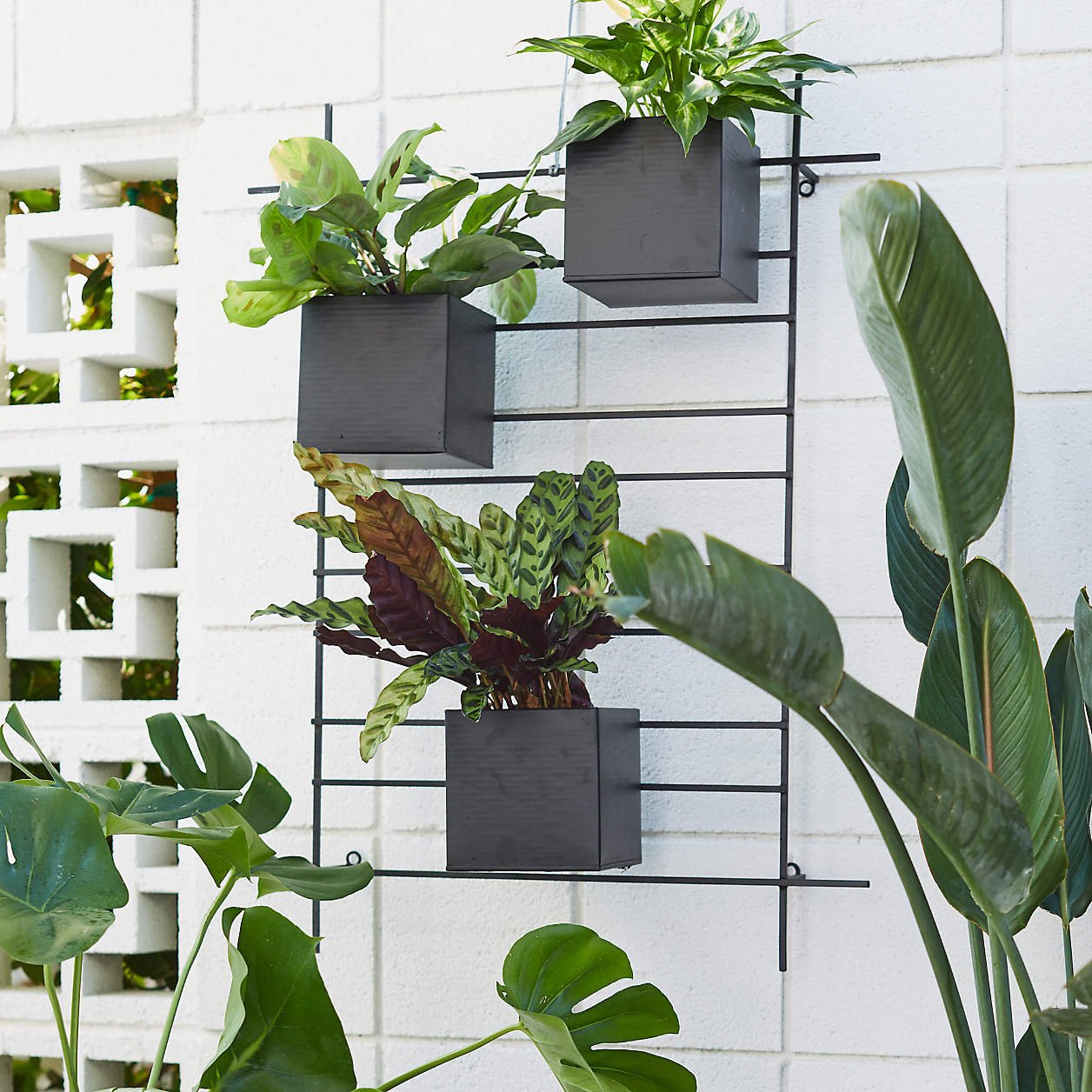 4 Box Wall Mounted Indoor/Outdoor Planter - Image 6
