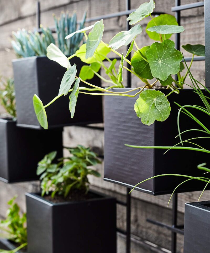 4 Box Wall Mounted Indoor/Outdoor Planter - Image 4