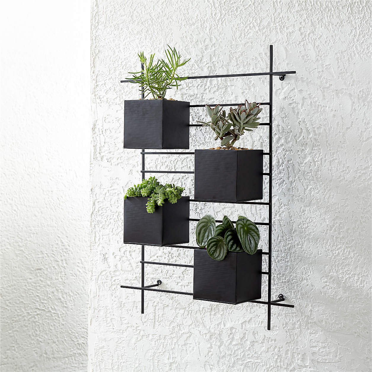 4 Box Wall Mounted Indoor/Outdoor Planter - Image 10