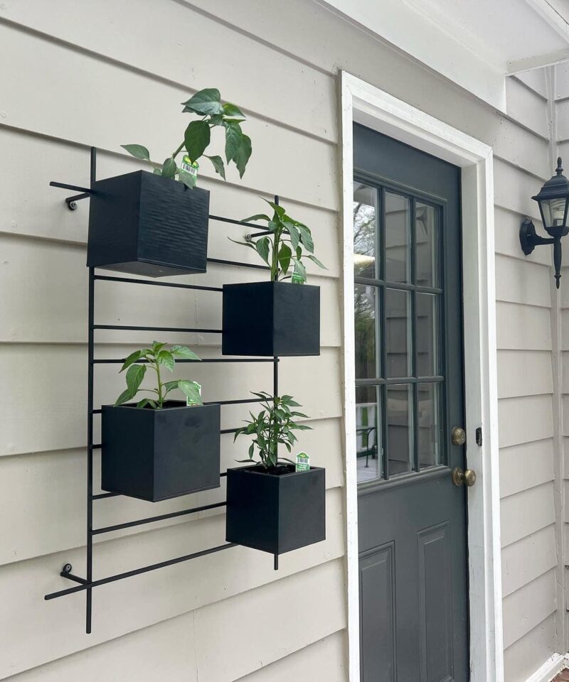 4 Box Wall Mounted Indoor/Outdoor Planter